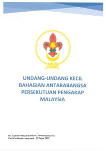 Undang-undang Kecil Antarabangsa